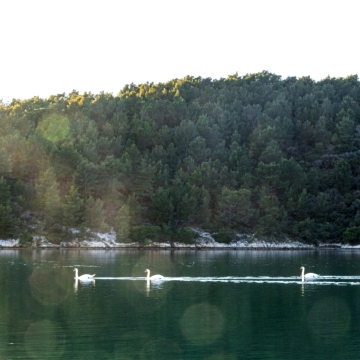 Morinjski zaljev - nova IOM regatna lokacija